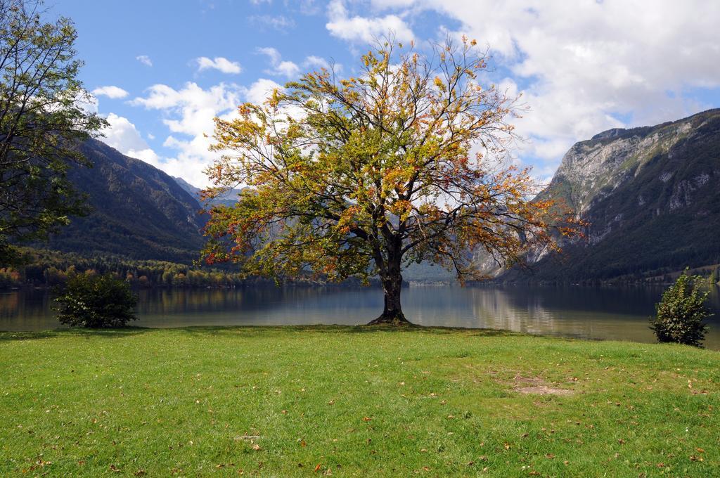 Apartment Dijak Bohinj Luaran gambar