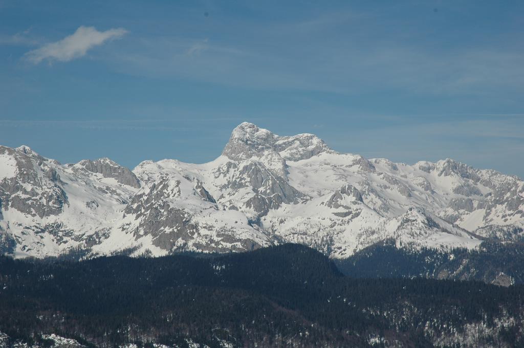 Apartment Dijak Bohinj Luaran gambar