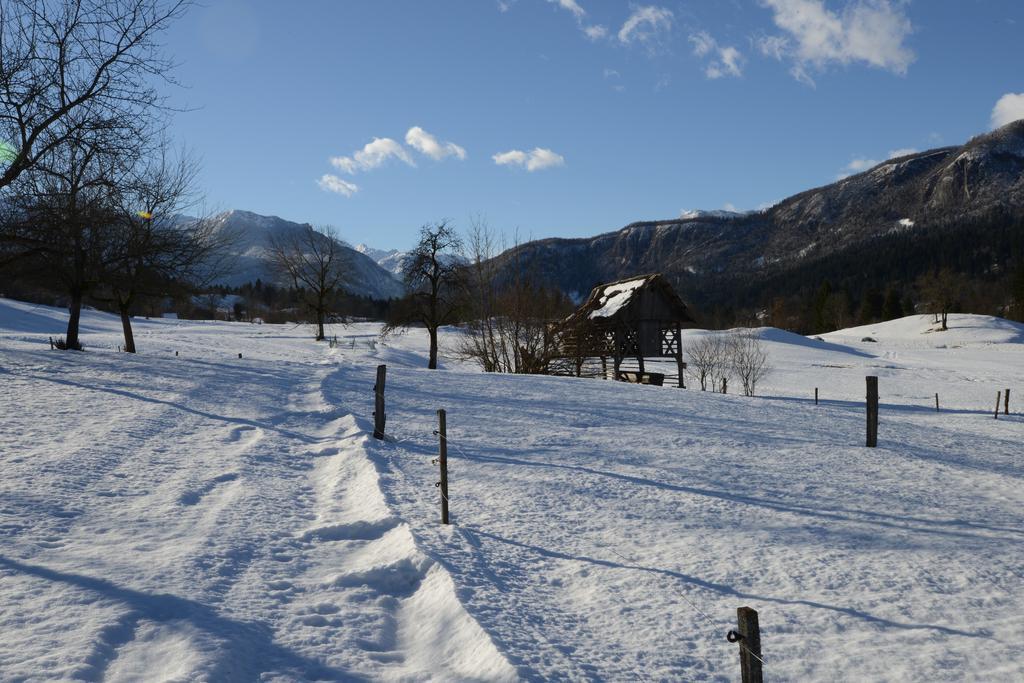 Apartment Dijak Bohinj Luaran gambar