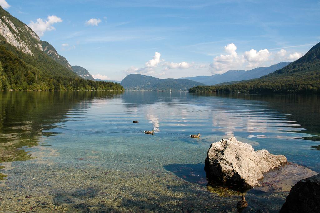 Apartment Dijak Bohinj Luaran gambar