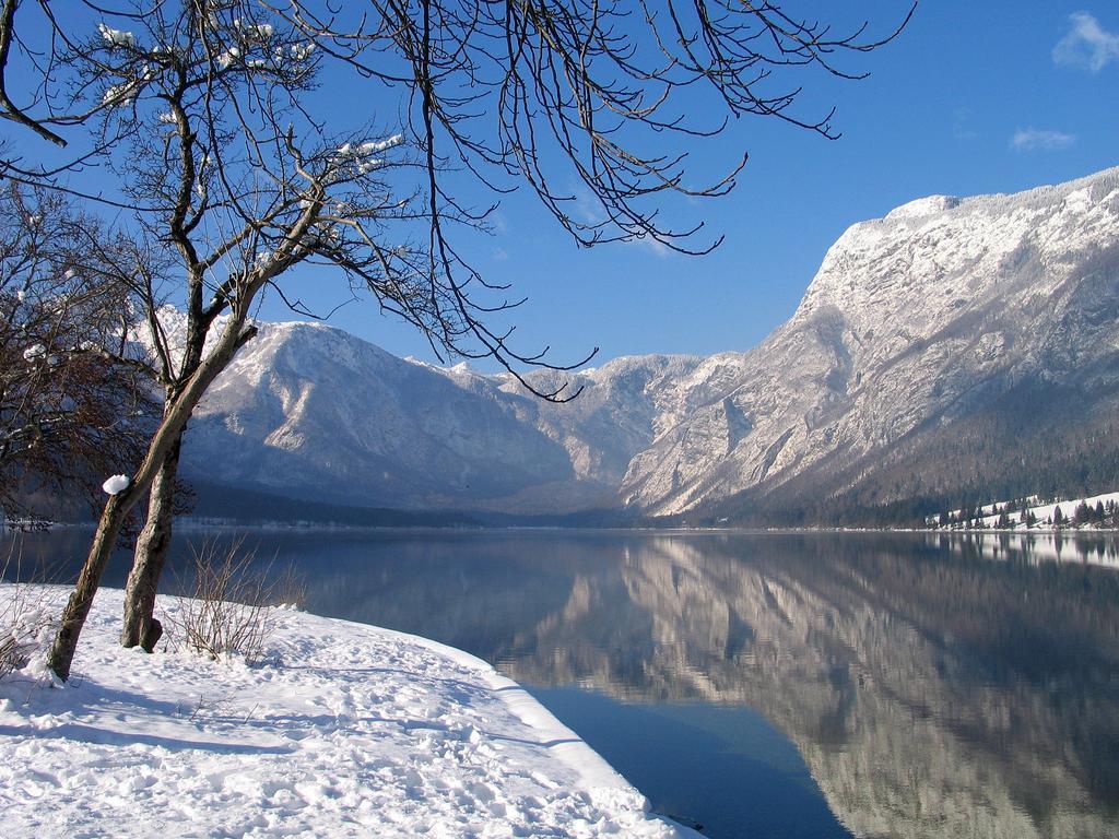 Apartment Dijak Bohinj Luaran gambar